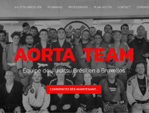 Aorta Team website