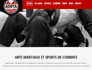 Aorta Training Center website